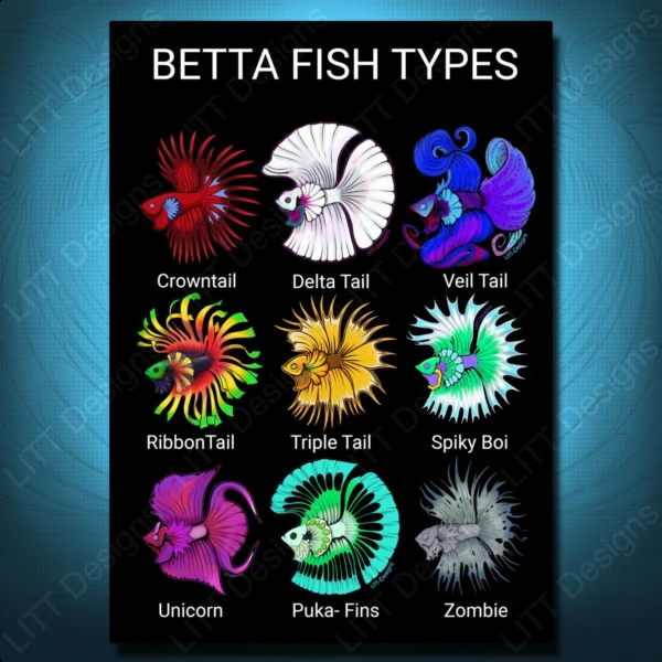 Betta Types Art Print - LITT Designs