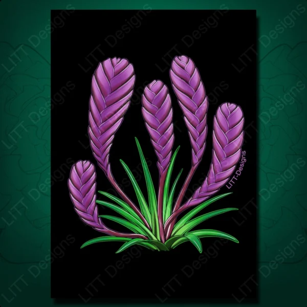 Bromeliad Art Print - LITT Designs