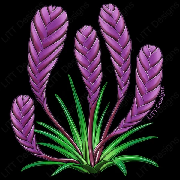 Bromeliad Digital Illustration - LITT Designs