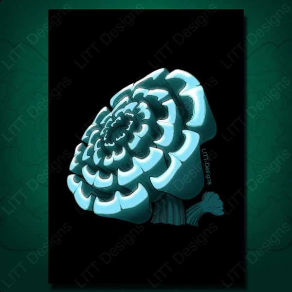 Haworthia Art Print - LITT Designs