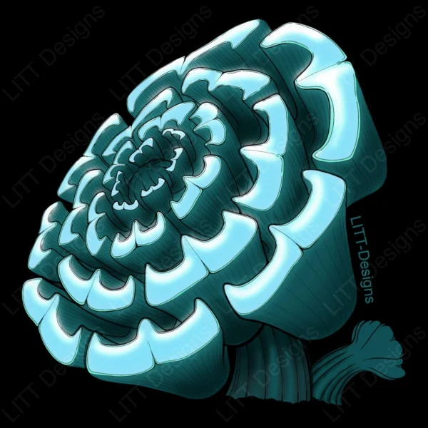 Haworthia Digital Illustration - LITT Designs