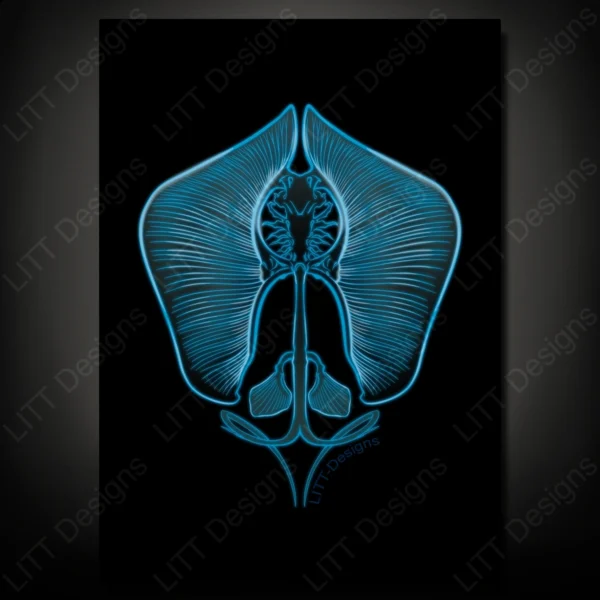 Manta Ray Art Print - LITT Designs