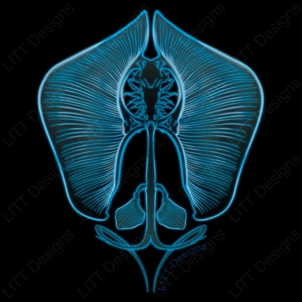 Manta Ray Digital Illustration - LITT Designs