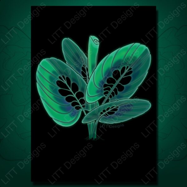 Calathea Print