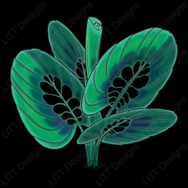 Calathea Print